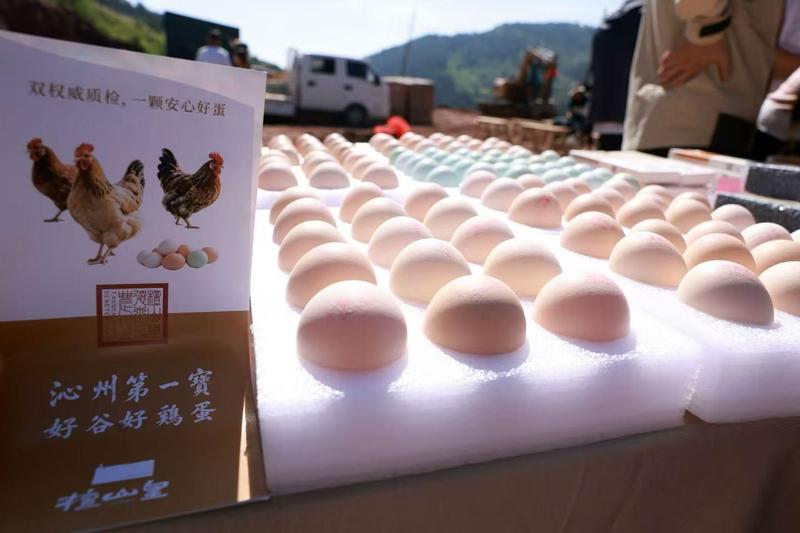 檀山皇谷物蛋集中展示(李旭豪 摄)