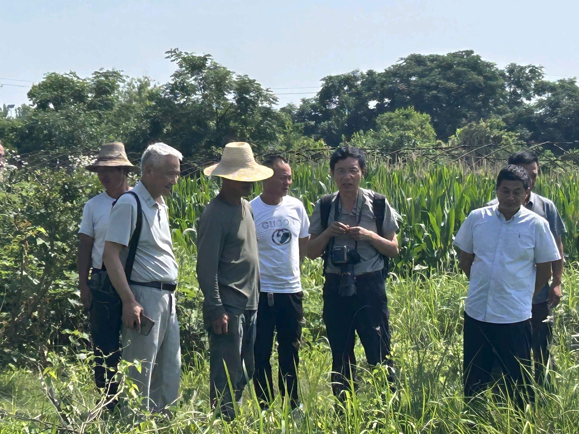田间课堂现场(夏谨 摄)