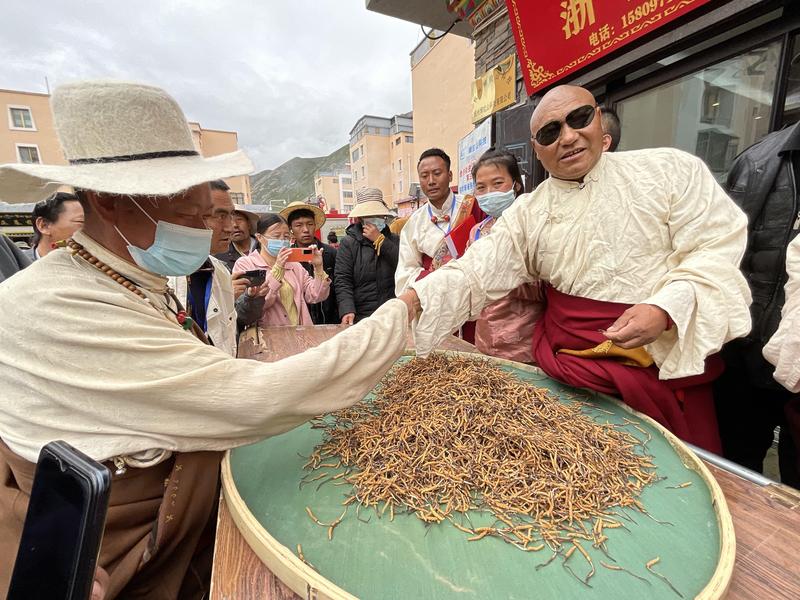 玉树虫草市场,成为农牧民虫草交易的集散地。(申维祖 摄)