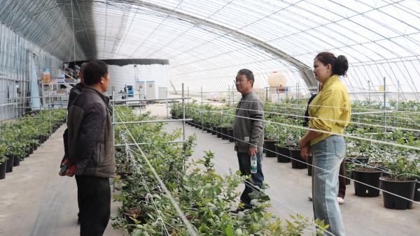 农技人员在指导群众种植技术(阿依努尔·艾合提 摄)