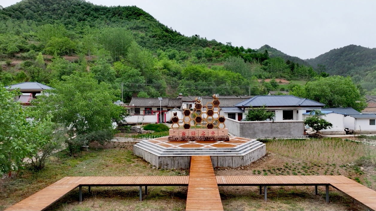 二郎乡武坝村蜜蜂广场(张敏 摄)