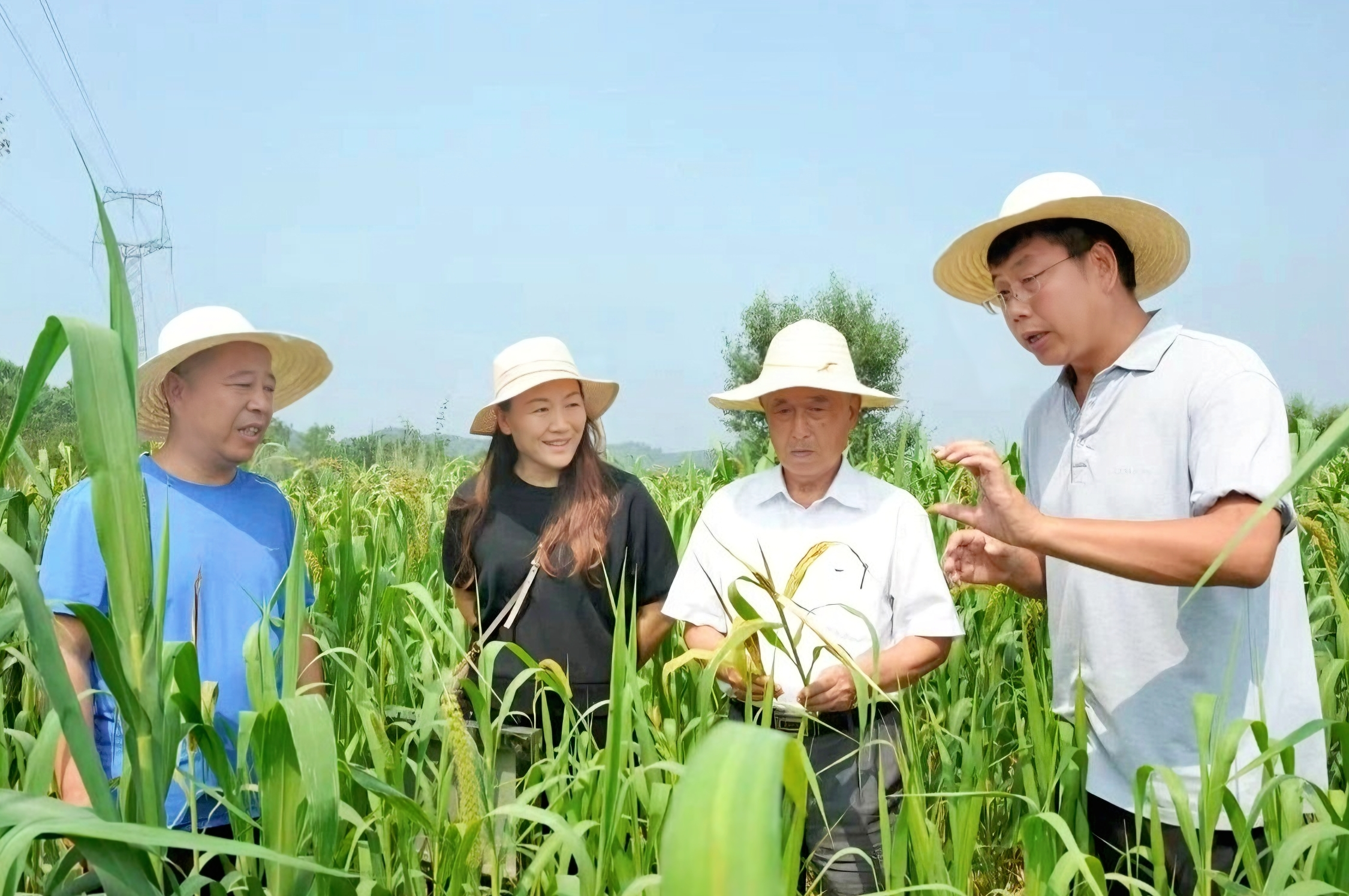段卫国在讲解有机种植相关知识(刘宇 摄)