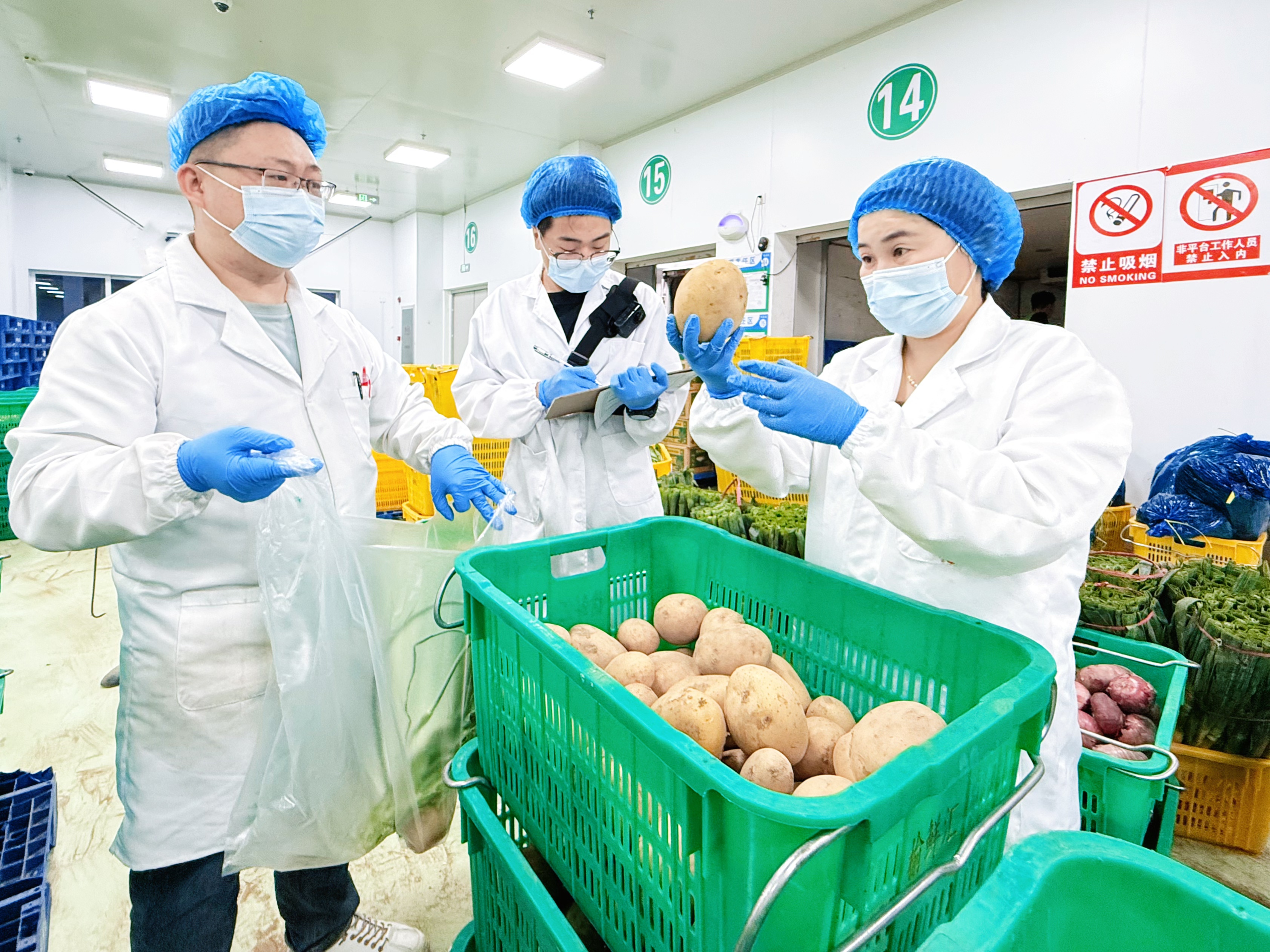 品控人员抽检土豆质量(贾新新 摄)