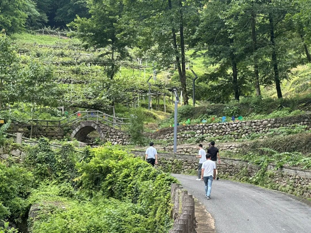 实景直播现场(吴海燕 摄)
