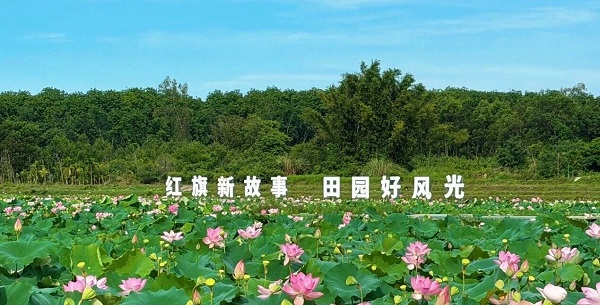 临高多文红旗田园共享农庄(庞基 摄)
