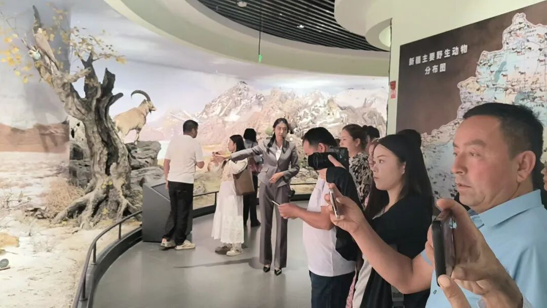 游客参观博物馆(阿卜杜艾则孜·图尔荪 摄)