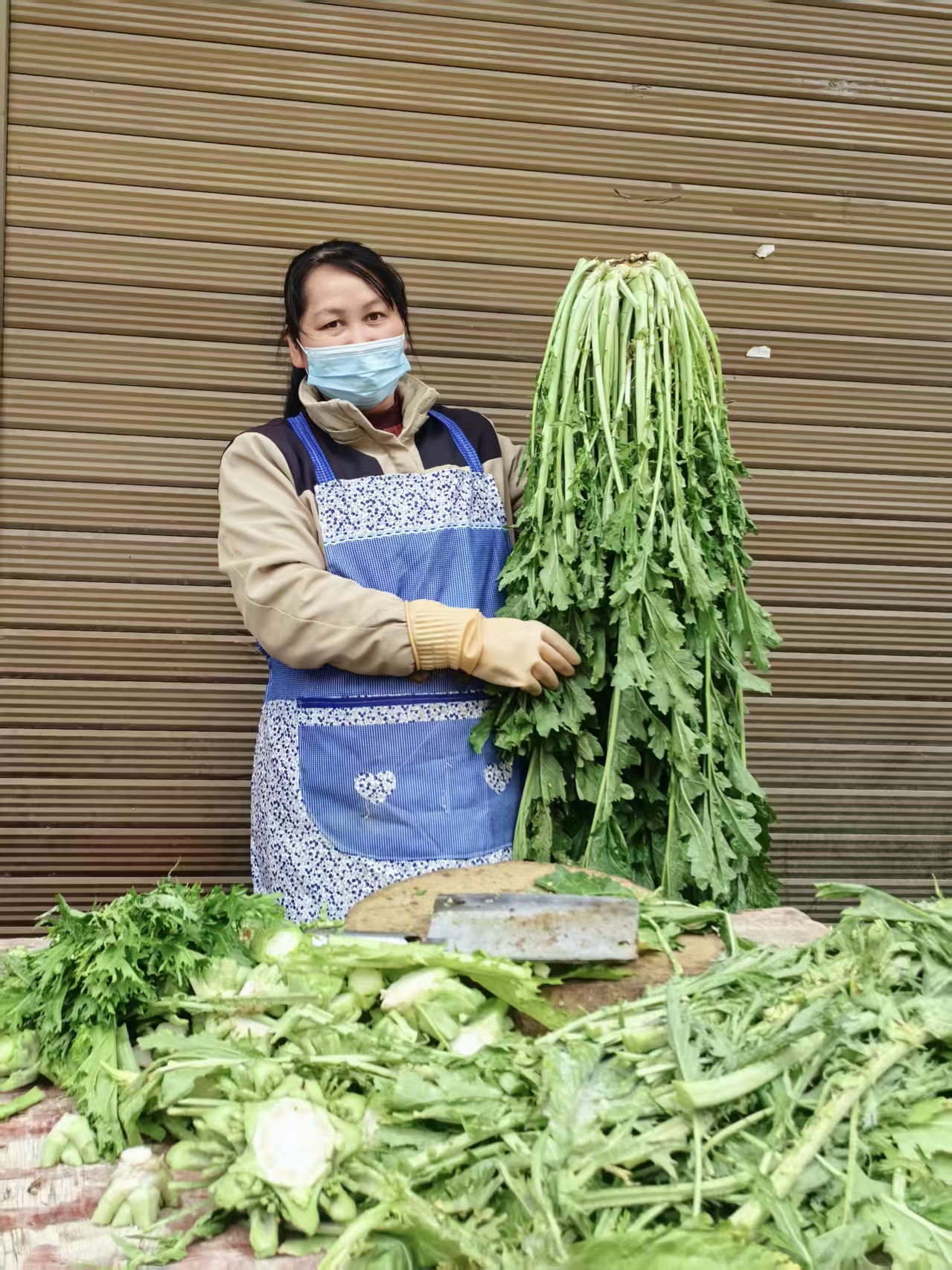 村民种出单株8斤重的芥菜(柳建林 摄)