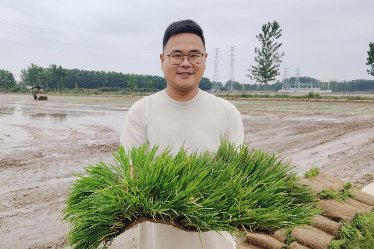 种植大户王威组织机械正在田间准备插秧(赵鹏 摄)