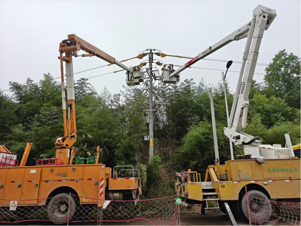 国网建瓯市供电公司带电作业班组在建瓯市东游镇10千伏党口线作业现场,开展旁路不停电综合施工作业。(张显凤 摄)