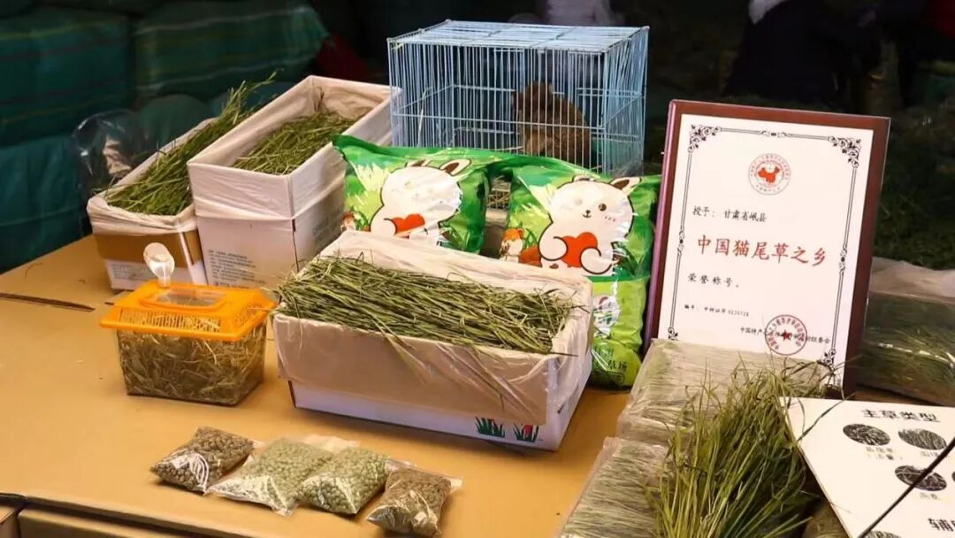 猫尾草系列产品 (文静 摄)