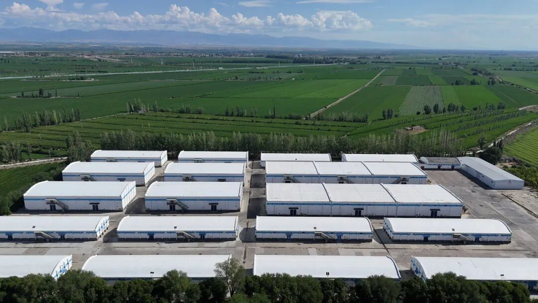 塔城地区粮油集团有限公司的仓储库区(李文静 摄)