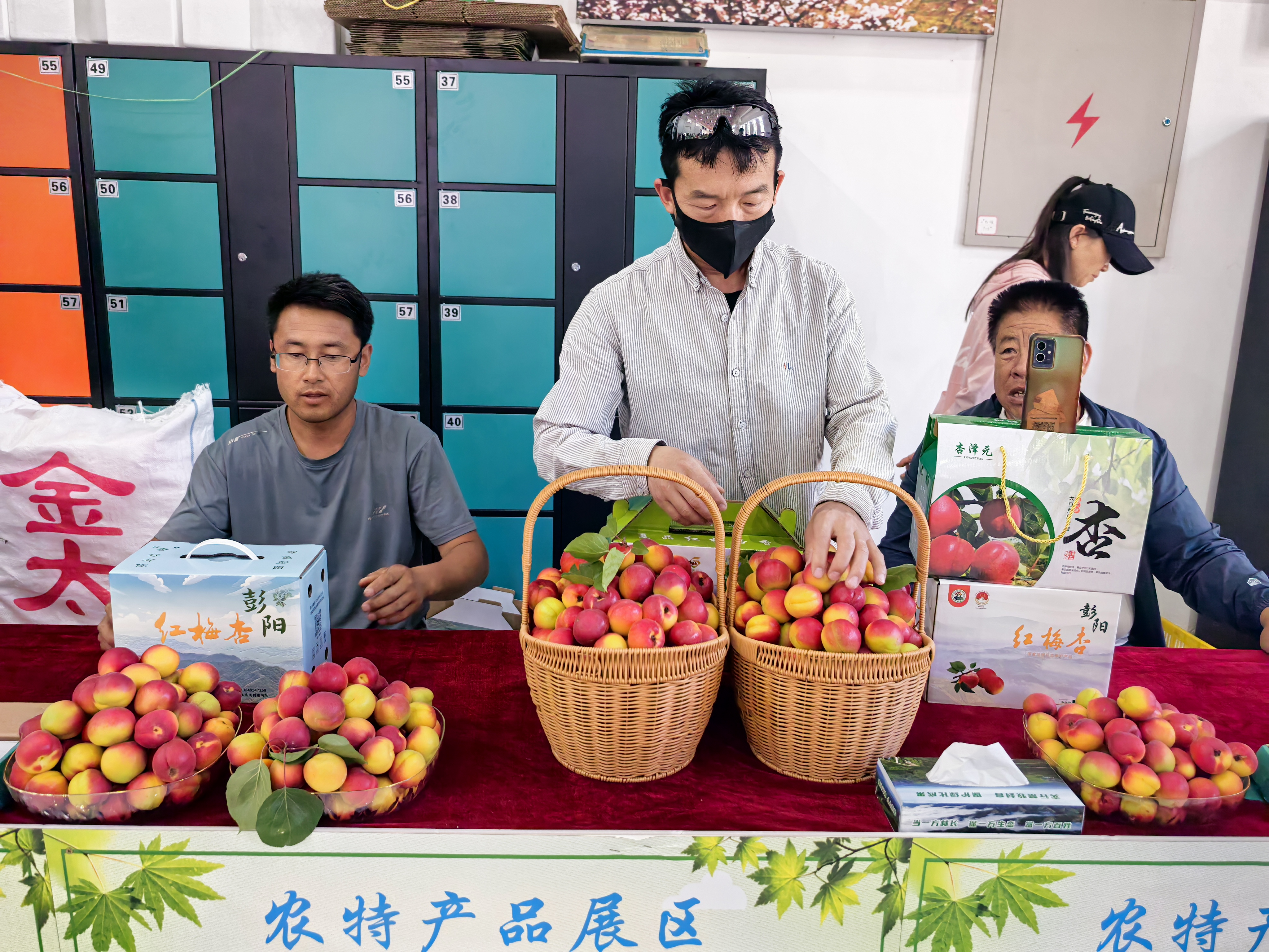 红梅杏展销(吴舒睿 摄)