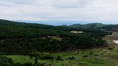 视频 | 到会东马头山 赴一场野炊与金蝉相伴的夏日之约
                                                        
