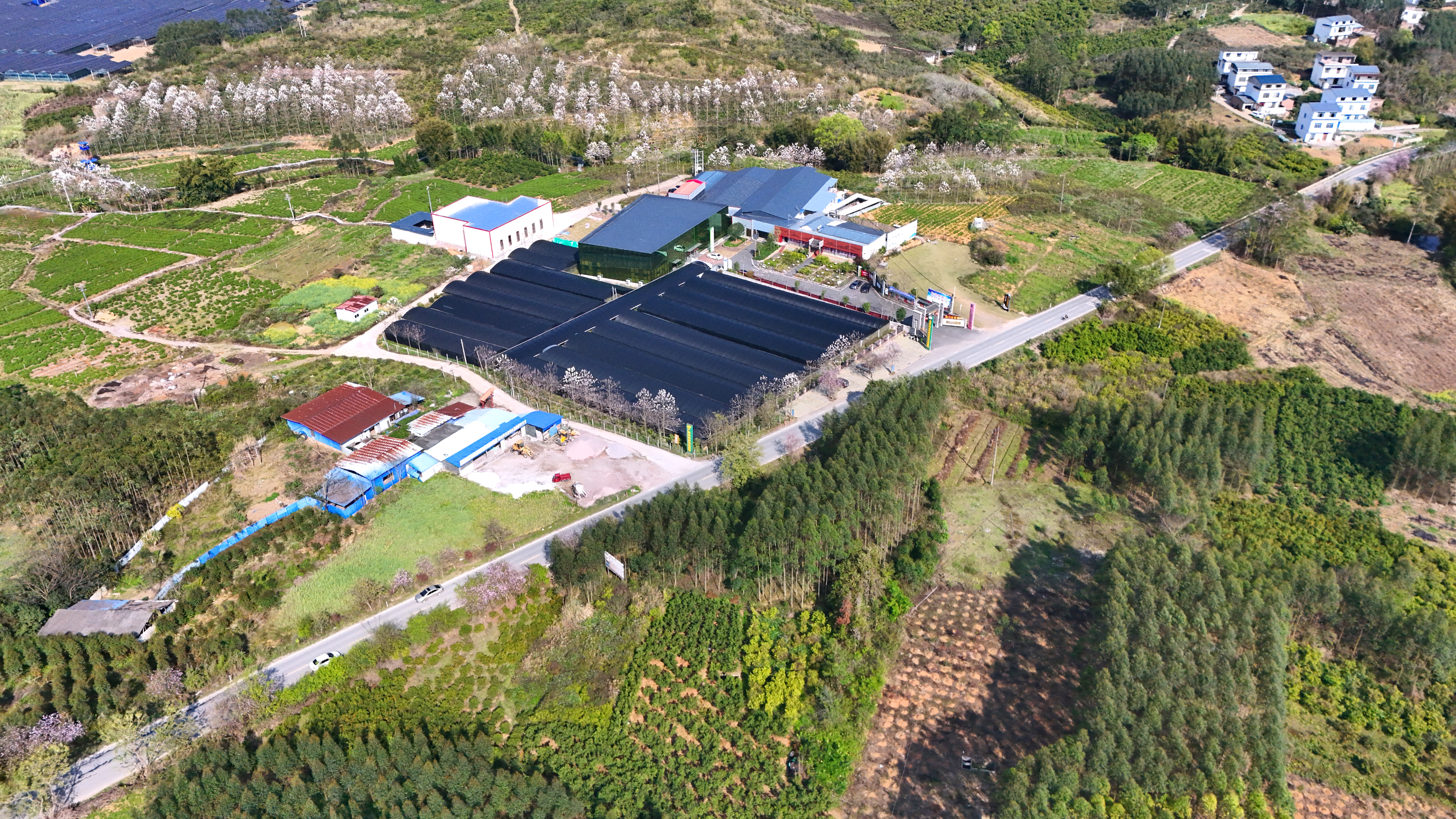 金秀中药瑶药材育苗示范基地(刘维 摄)