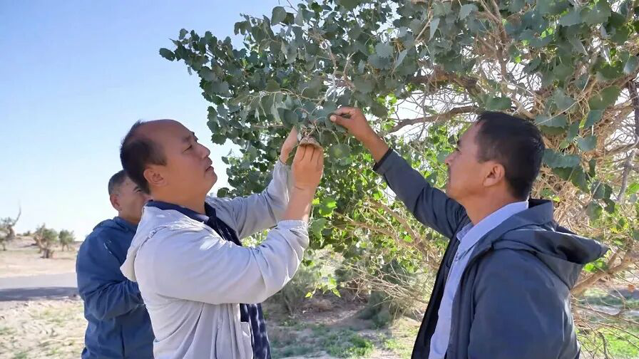 管护人员实行全天候巡护(艾热提·加沙热提 摄)