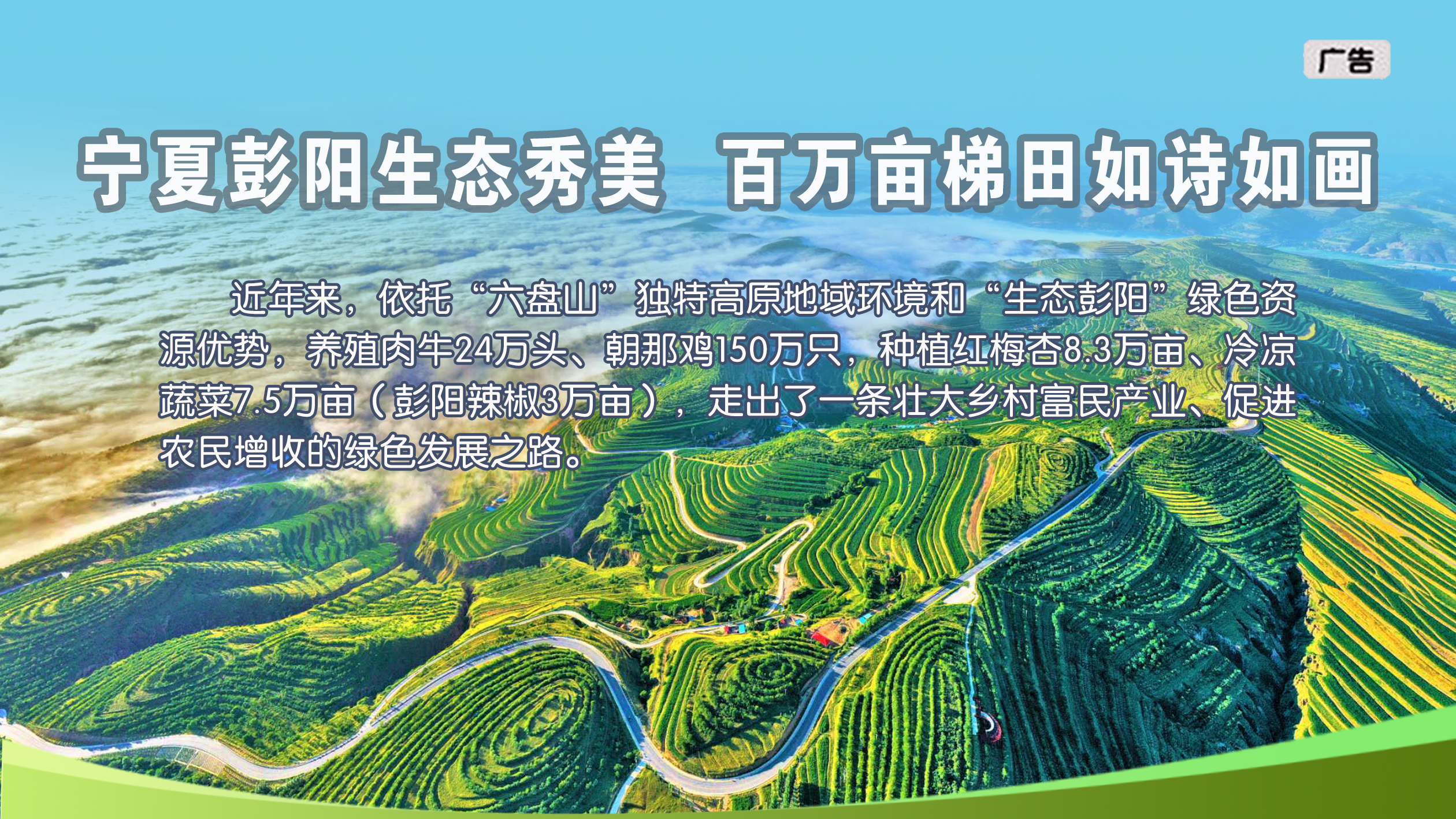 （广告）夏彭阳生态秀美  百万亩梯田如诗如画