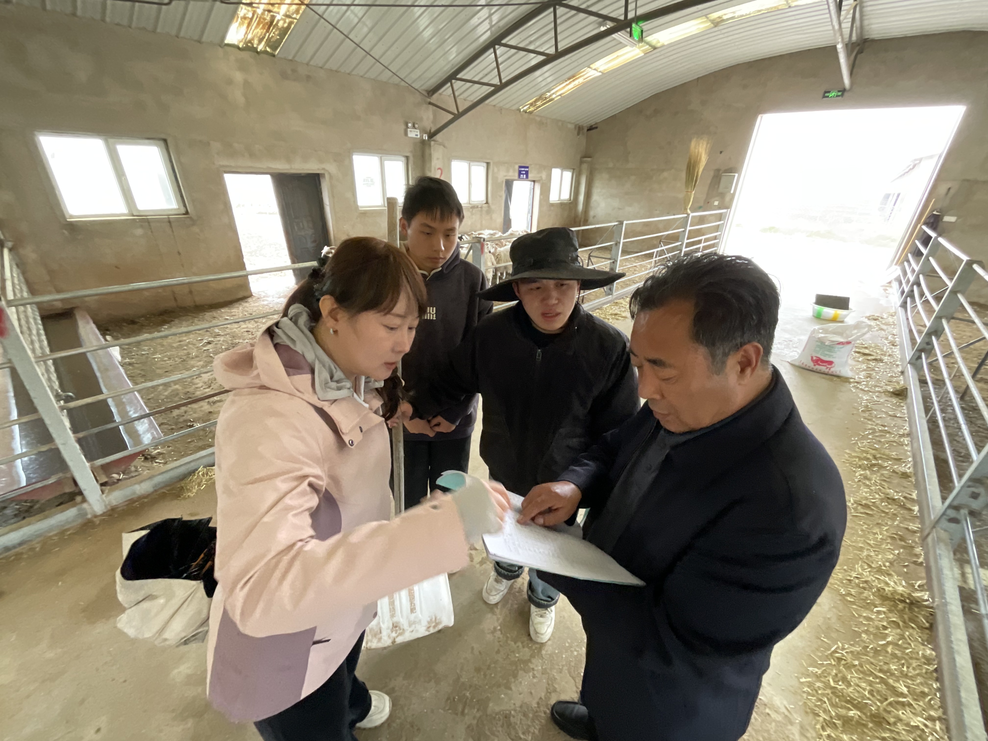 侯生珍教授(右一)深入养殖一线指导团队成员及研究生开展数据核查(申维祖 摄)