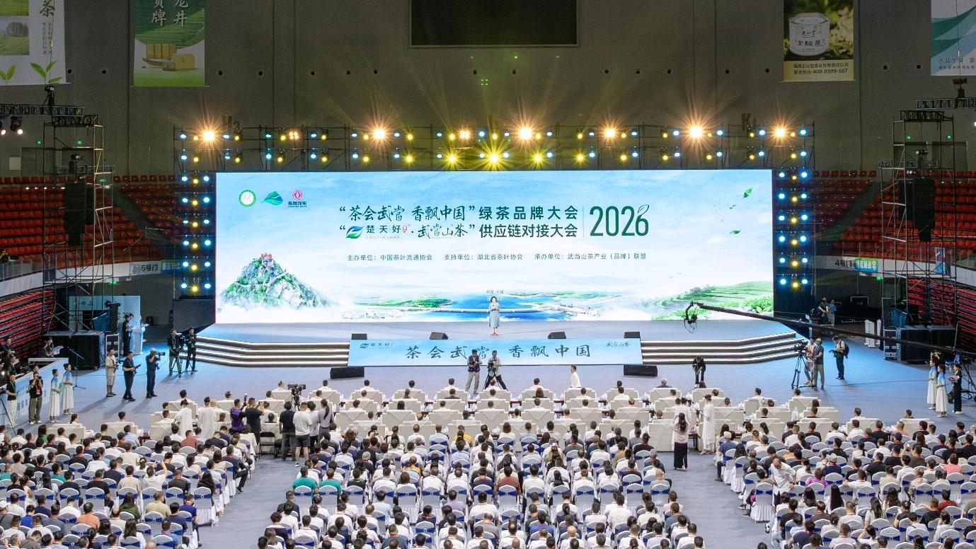 大会现场(刘成臣 摄)