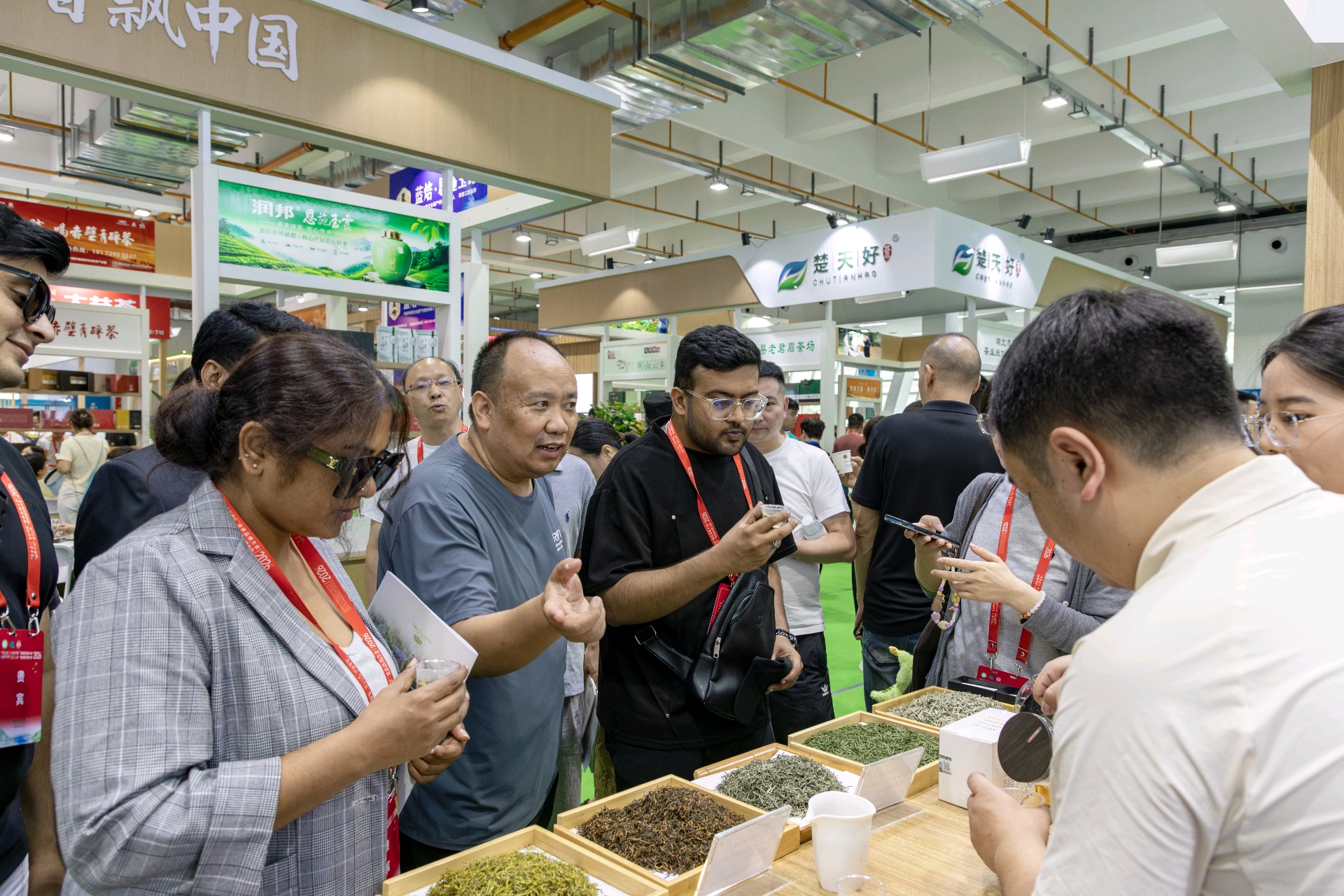 品茶现场(刘成臣 摄)