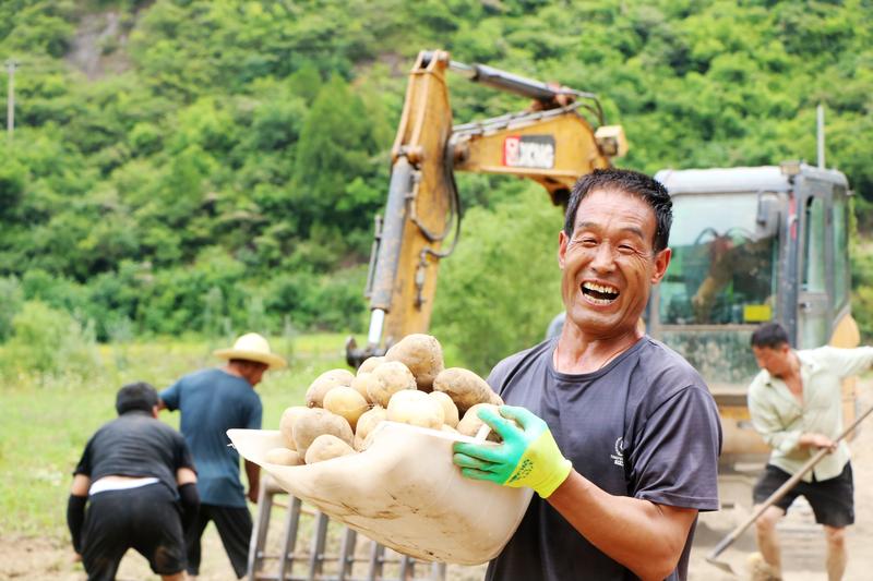 马铃薯丰收群众笑开颜(田兴文 摄)