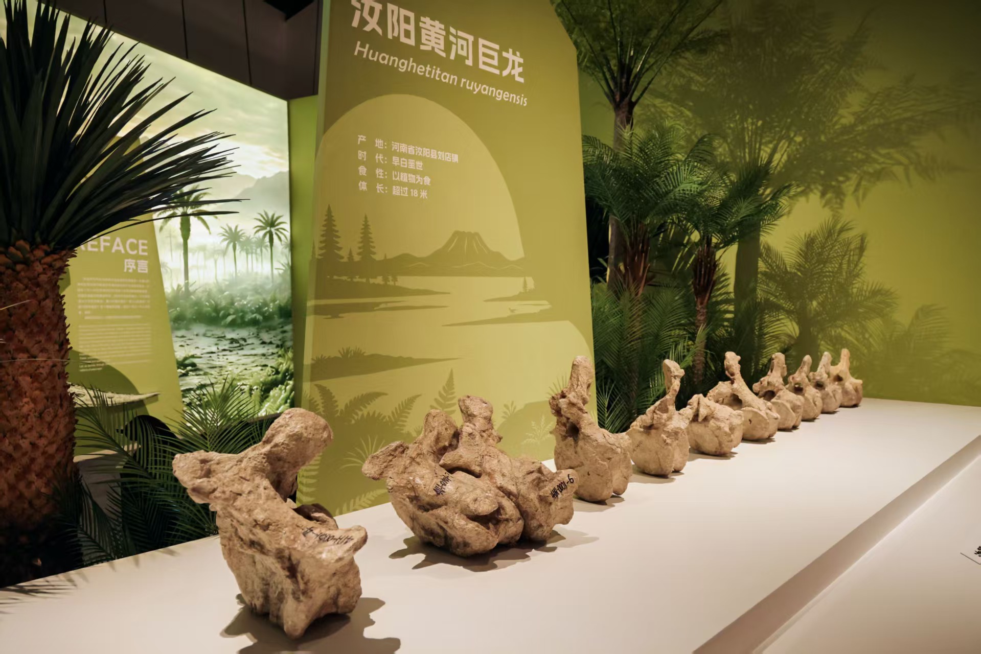 展出现场(洪钰 摄)