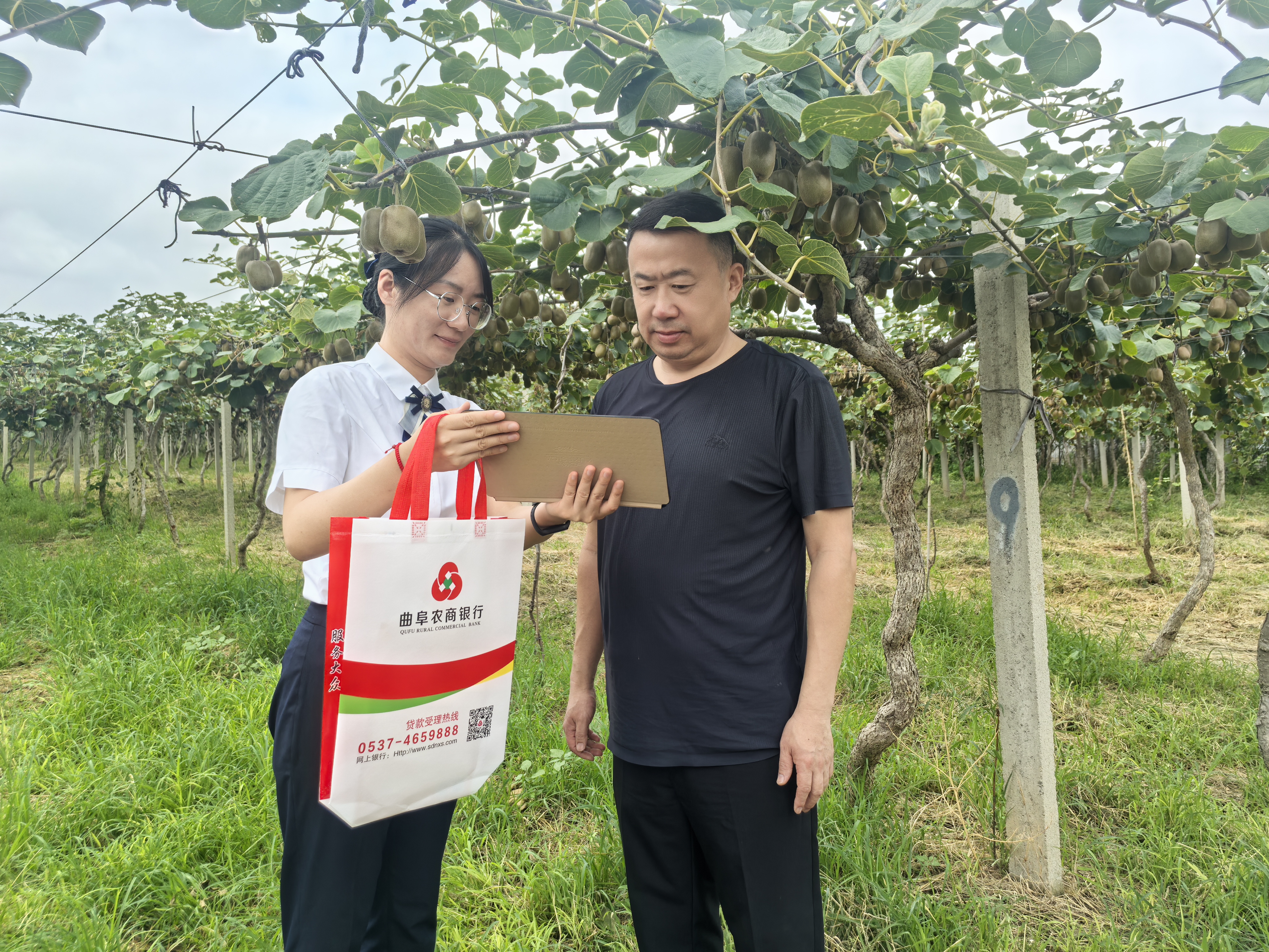 曲阜农商银行工作人员为种植户办理贷款申请业务 (徐畅 摄)