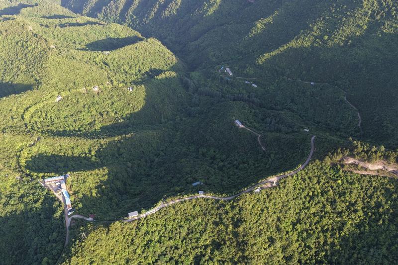 金洞乡桦林村云屏林草鸡养殖基地 (张云霞 摄)