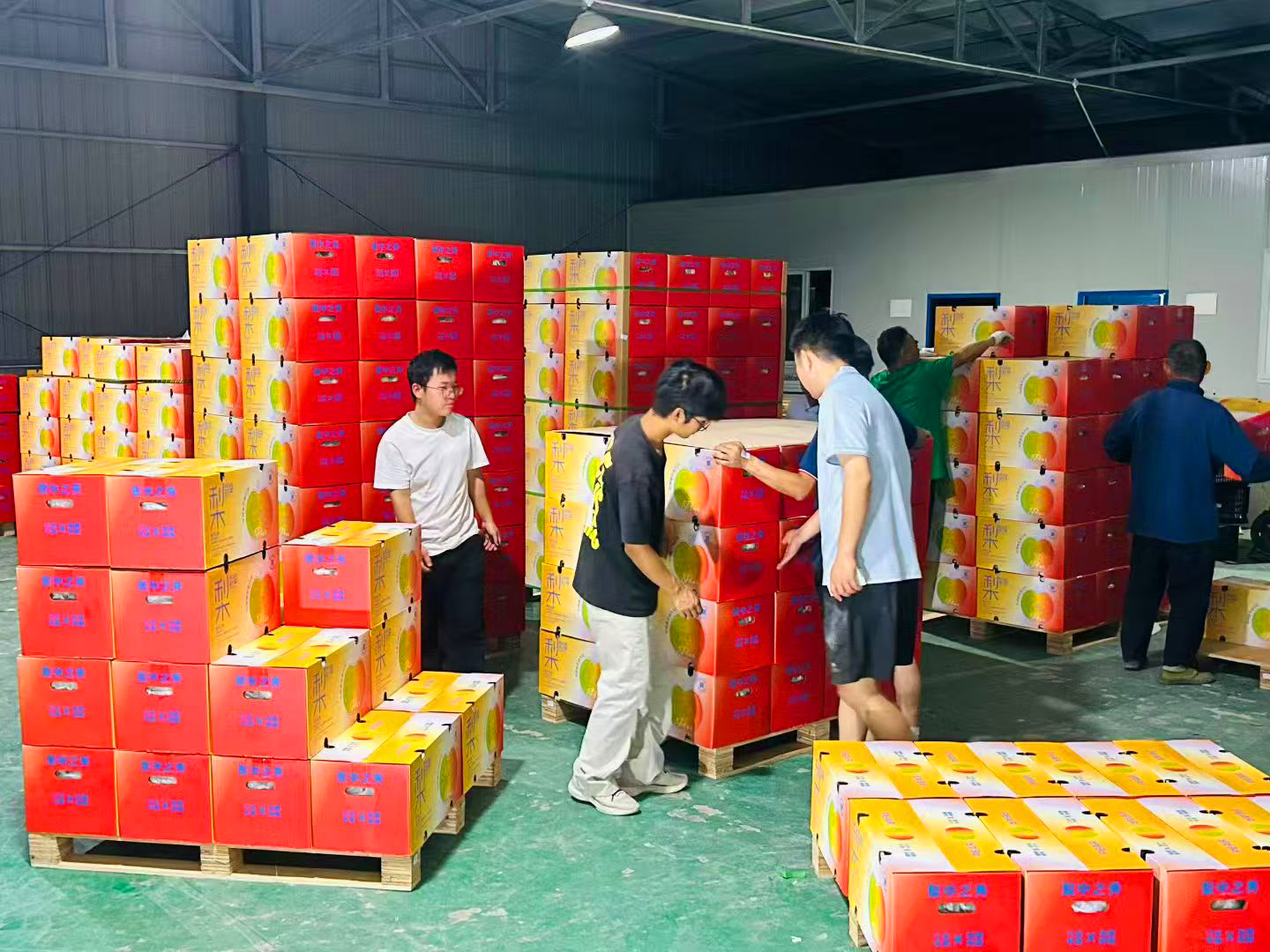 装箱现场(张文良 摄)