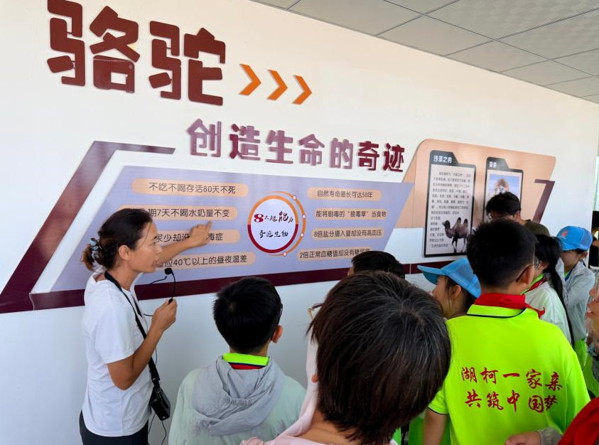 大家走进新驼乳业厂区,了解柯坪依托本地骆驼资源打造驼乳全产业链的富民成果。(赵丰华 摄)