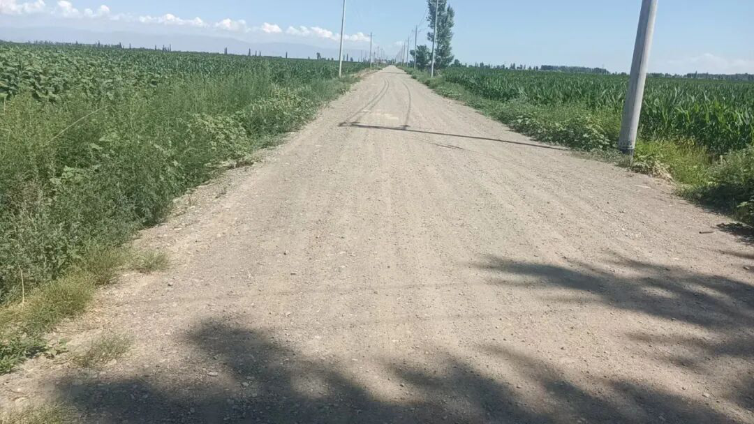 额敏县高标准农田建设项目田间道路(阿合买提 摄)