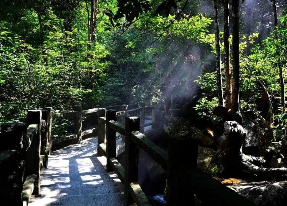 满目绿意的姑婆山一景(黄剑平 摄)