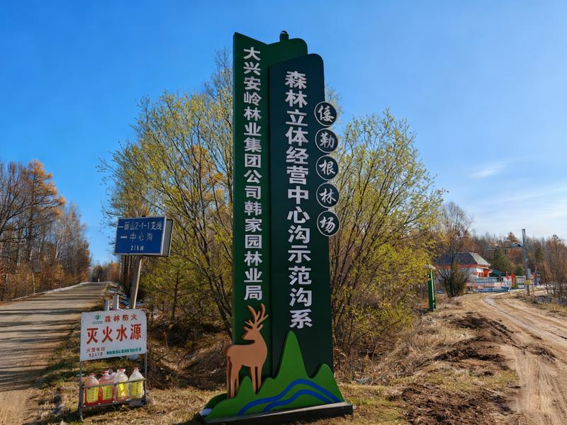 倭勒根林场森林沟系立体经营中心沟示范沟系(刘洋 摄)