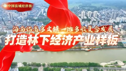 视频 | 海南临高多文镇 一地多收复合发展
                                                        
