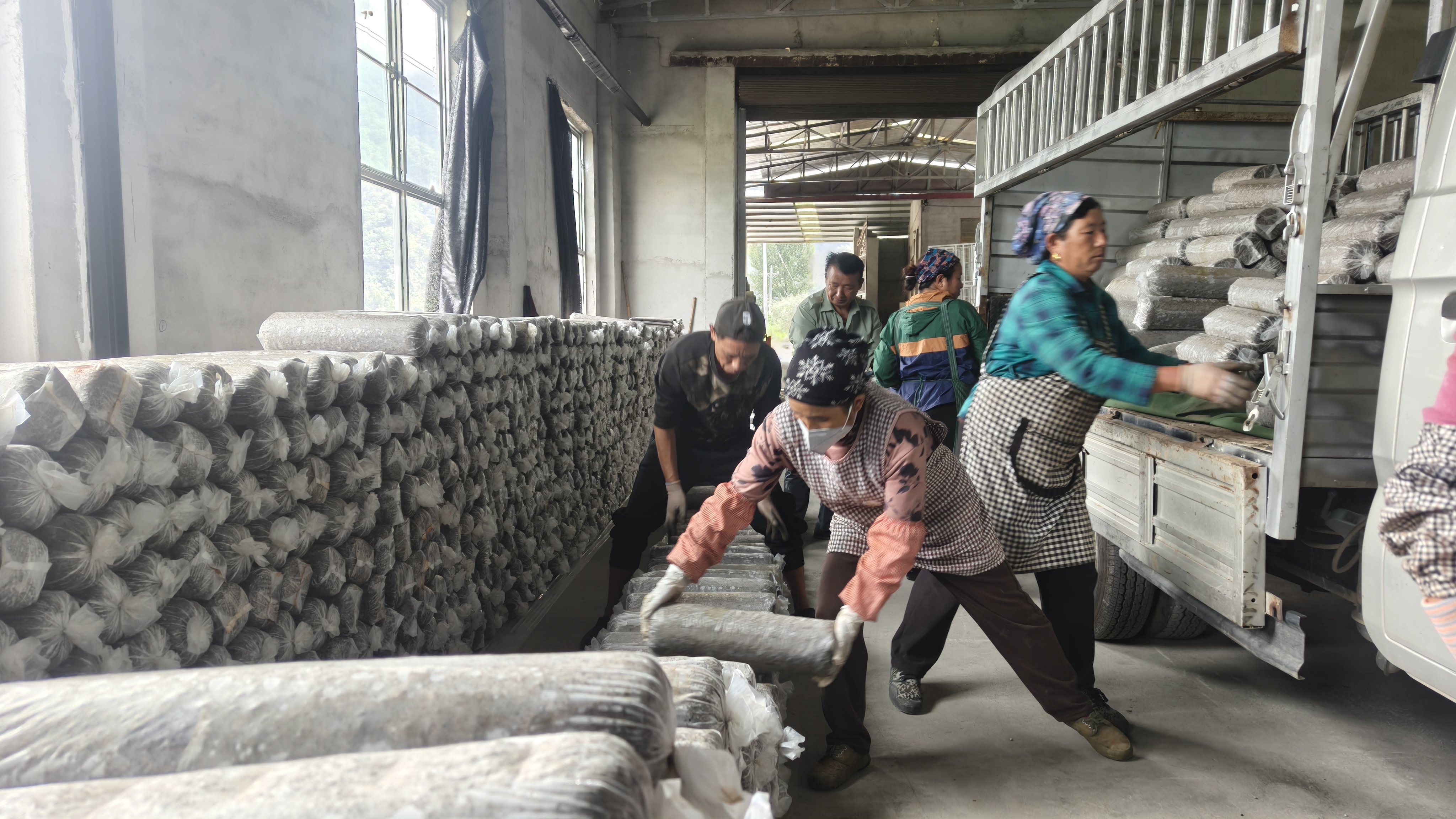 村民务工(何小米 摄)