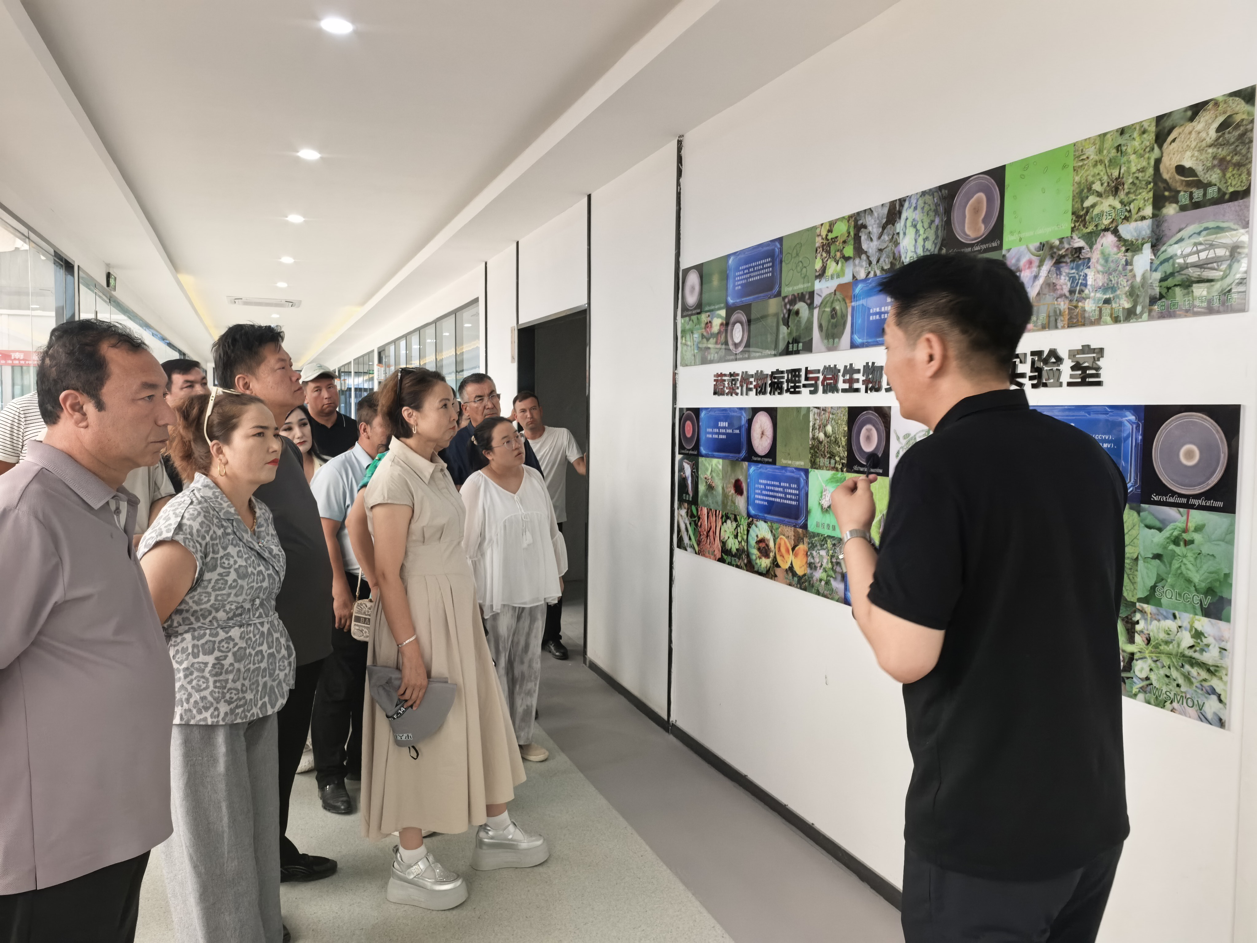 参训人员参观喀什地区现代农业产业园 (张学平 摄)
