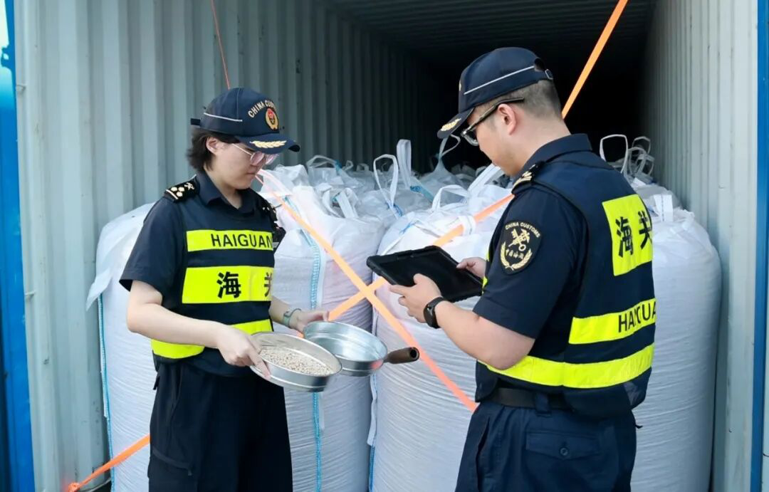 海关关员现场查验进境粮食货物(格日乐图 摄)