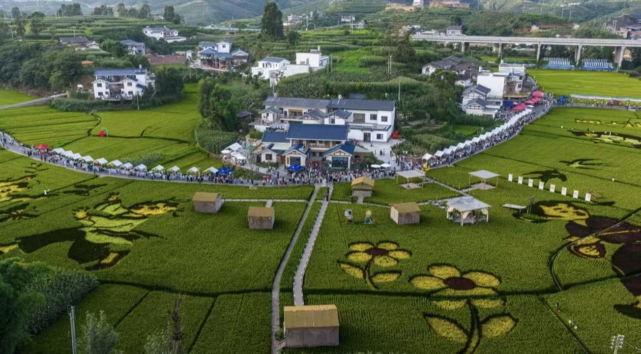 活动现场(肖顺畅 摄)