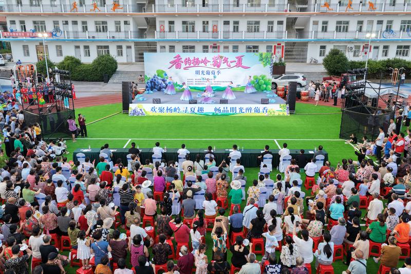 “香约杨岭 萄气一夏”——明光葡萄季系列活动现场(孙缙 摄)