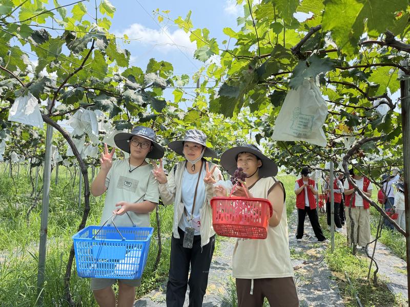 游客在杨岭镇明光村的果园内拍照打卡(高攀 摄)