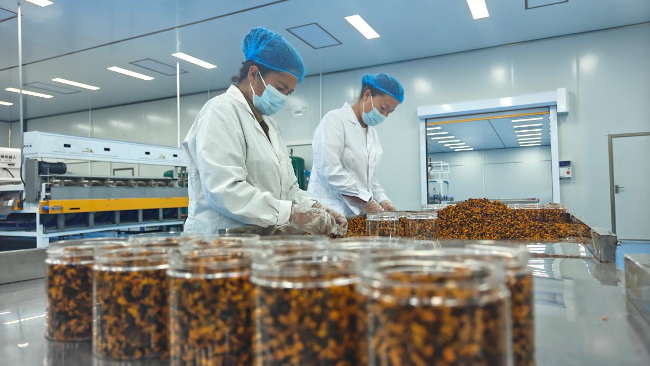 古丽赛迪罕·热合曼(左一)和同事在车间分拣干果装罐 (郭璁悦 摄)