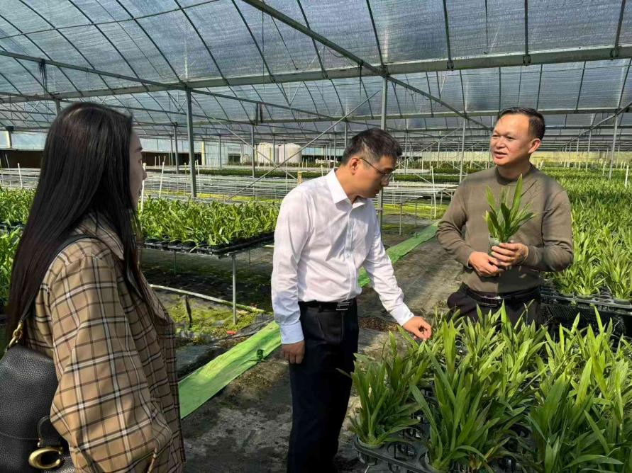 华夏银行工作人员深入兰花小镇对接金融服务需求 (熊慧 摄)
