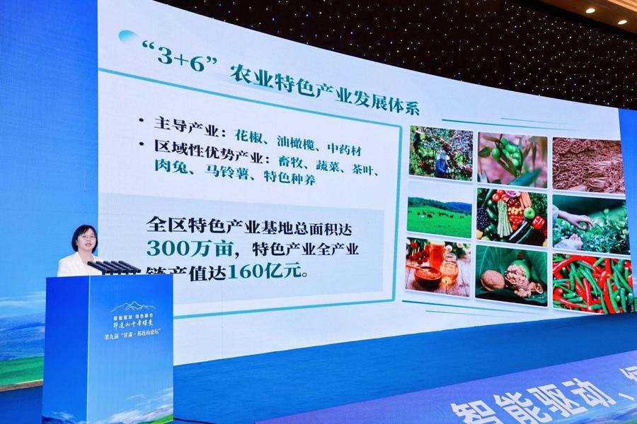 武都区副区长张燕发言