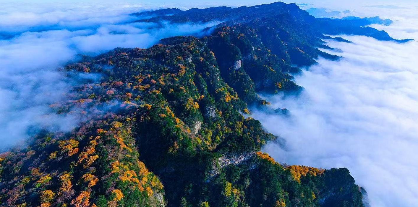 美丽的旺苍(陈加普 摄)