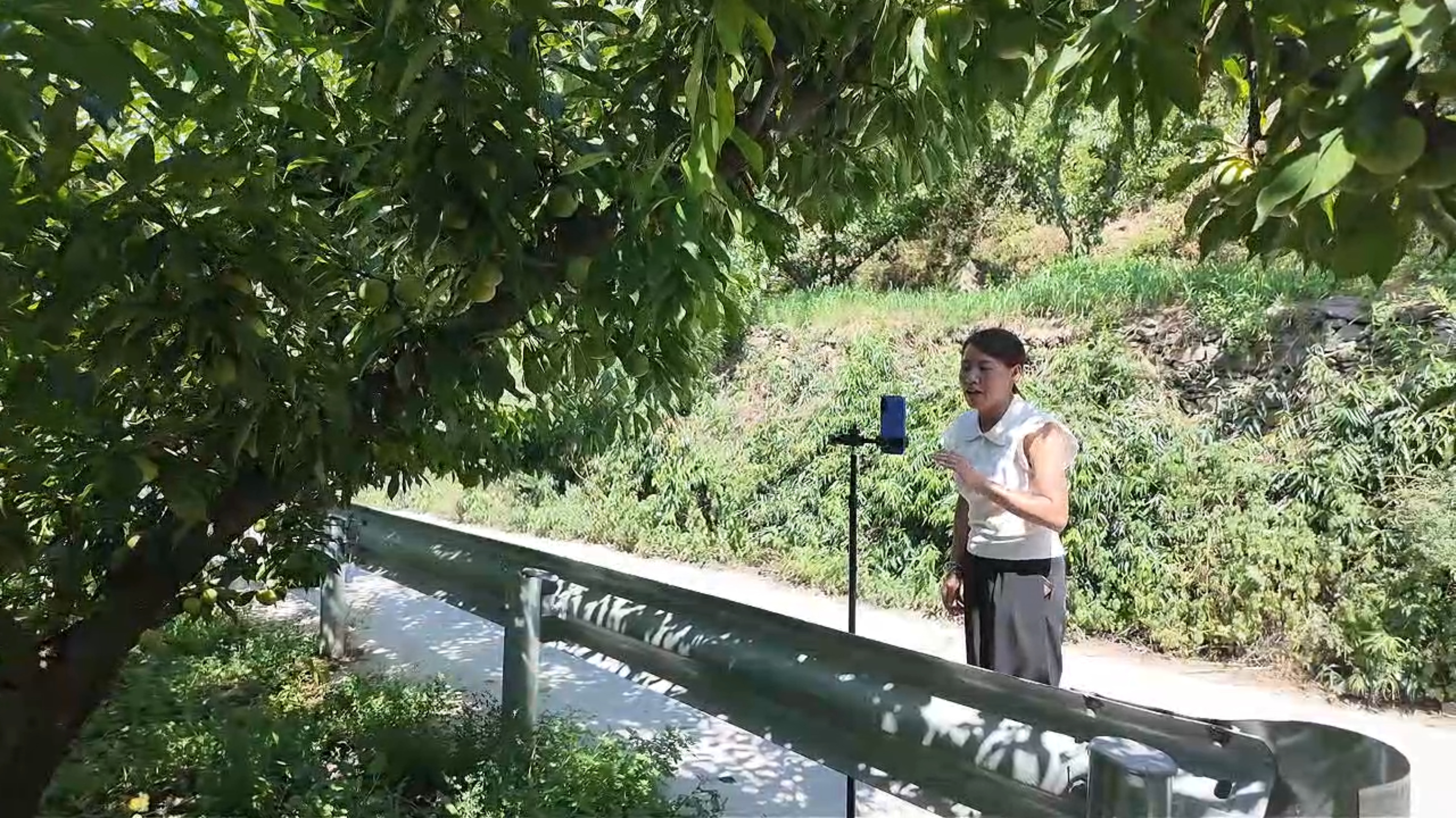 直播现场(古翔宇 摄)