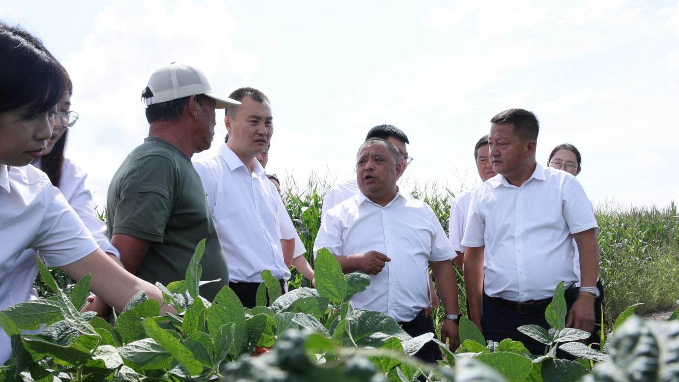 拉练现场 (付鹏媛 摄)