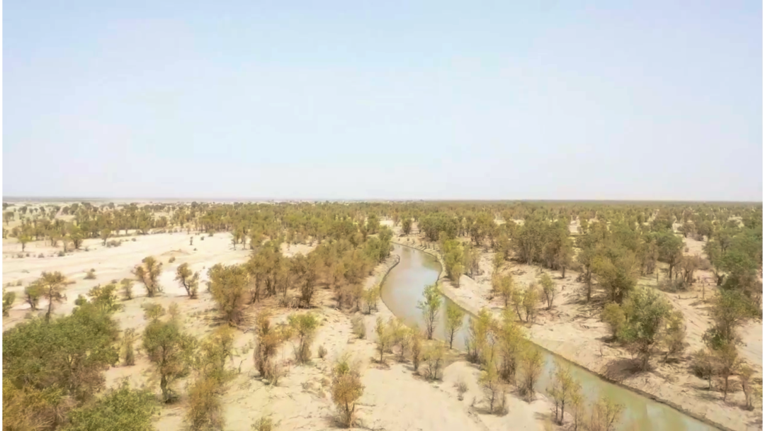 航拍新和县引洪灌溉项目工程清淤河道场景(方嘉豪 摄)