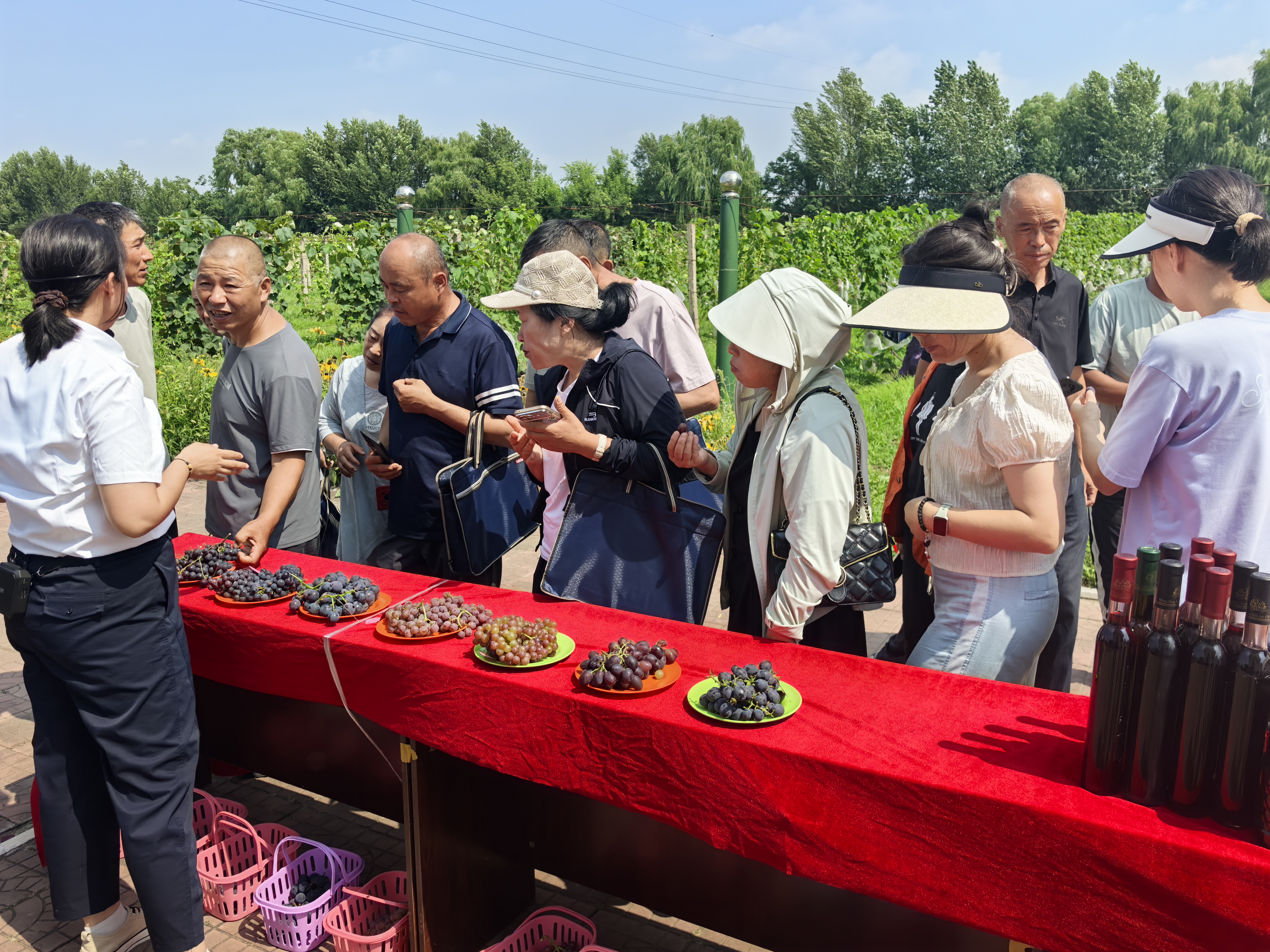 参会代表现场品尝各品种葡萄(刘尧 摄)