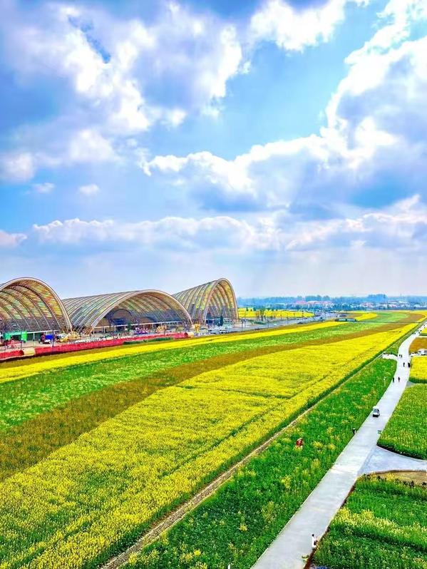 新津分会场中国天府农博园(陈馨 摄)
