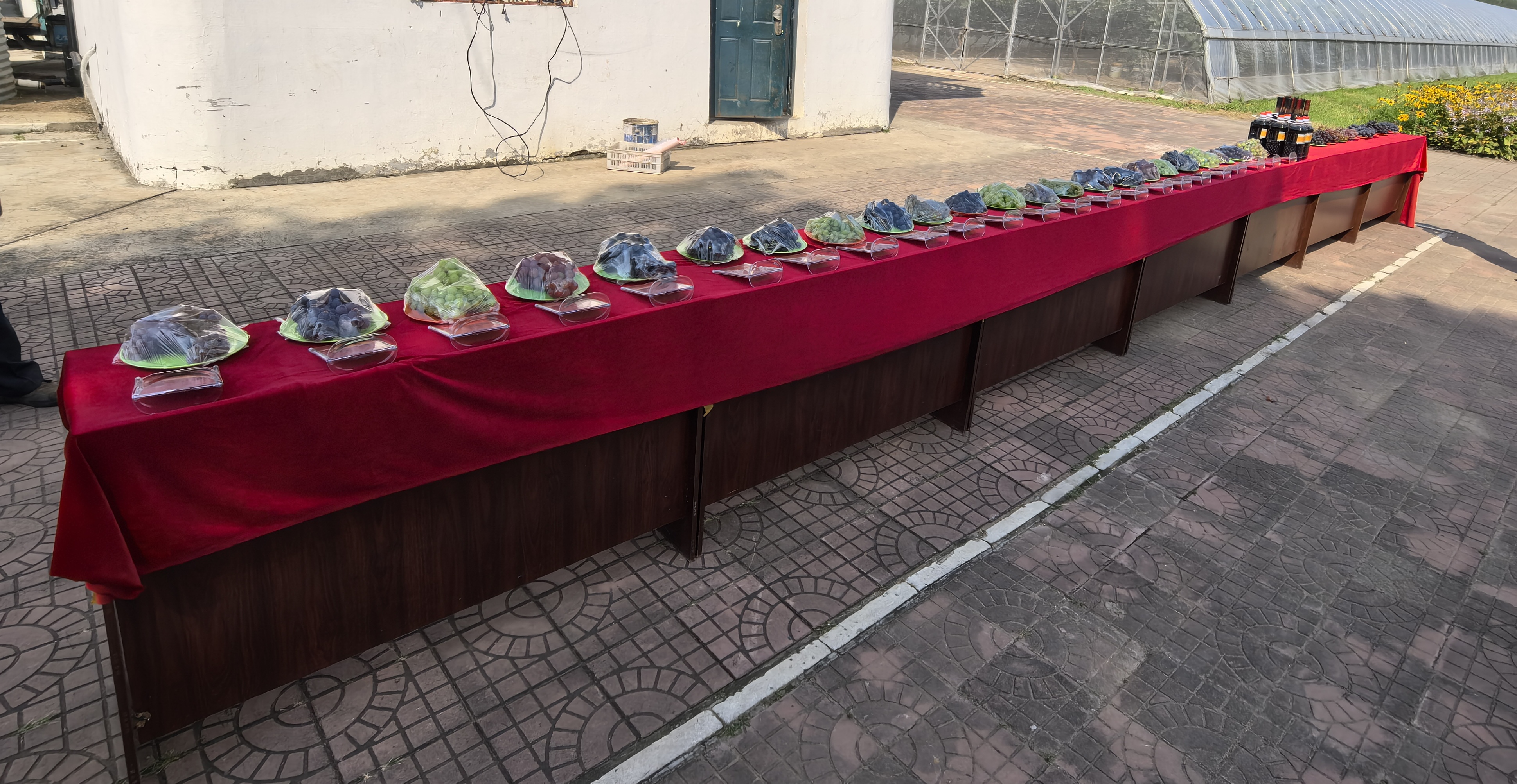 与会现场集中展示各类葡萄新品种及葡萄加工制品(刘尧 摄)