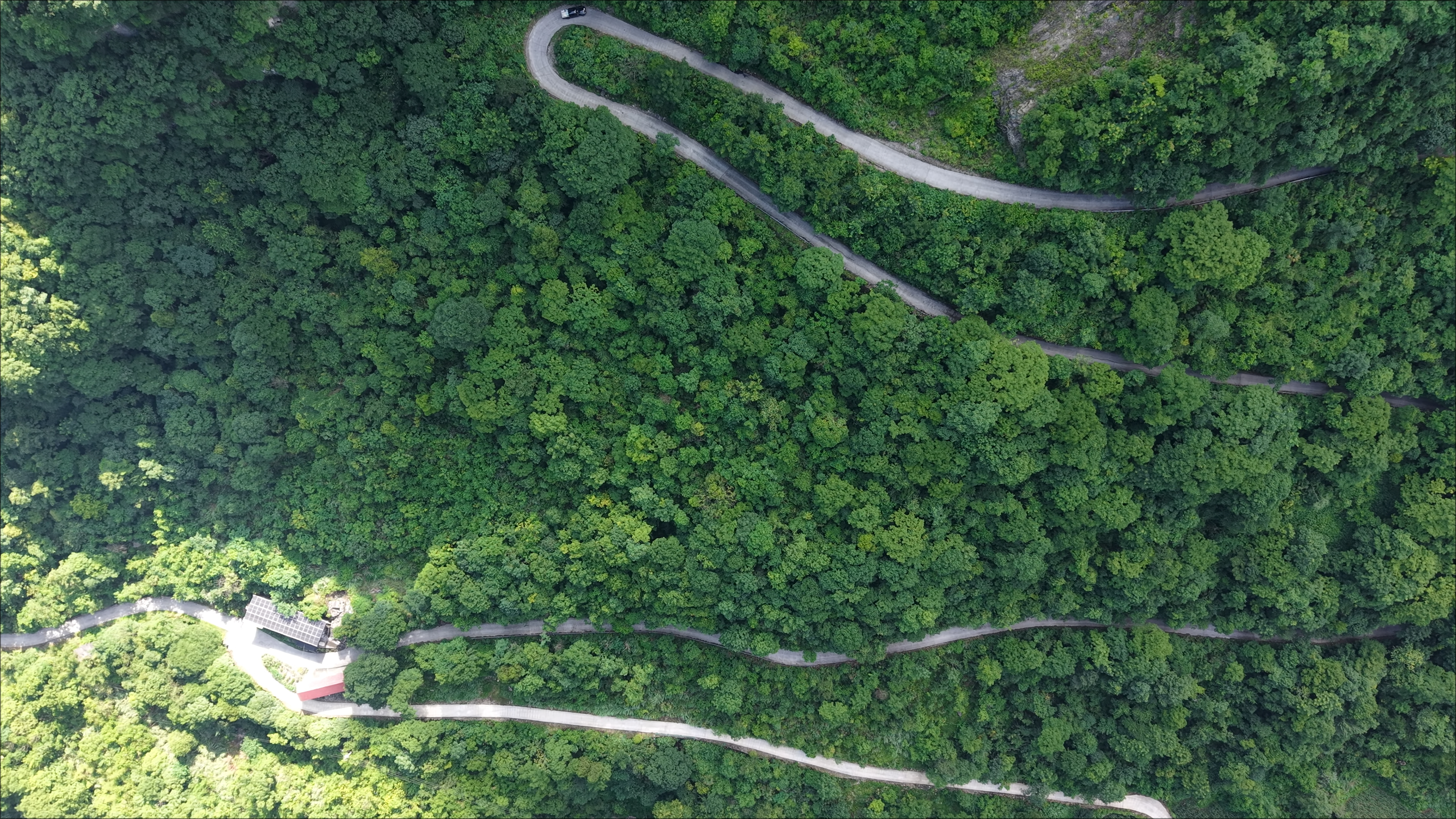 产业路蜿蜒在对舞溪村(田亚敏 摄)